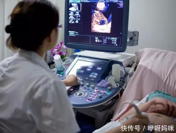 2024年试管长方案、短方案、拮抗剂方案的成功率哪个最高（附试管费用情况一览）